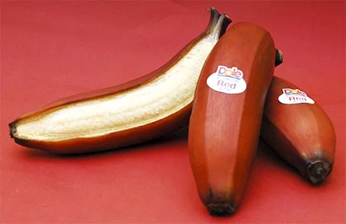 Red Dacca red bananas from Ecuador