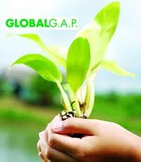 GLOBALG.A.P. certified growing