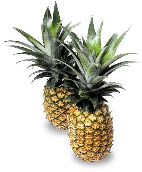 Golden Ecuadorian DOLE pineapples for export
